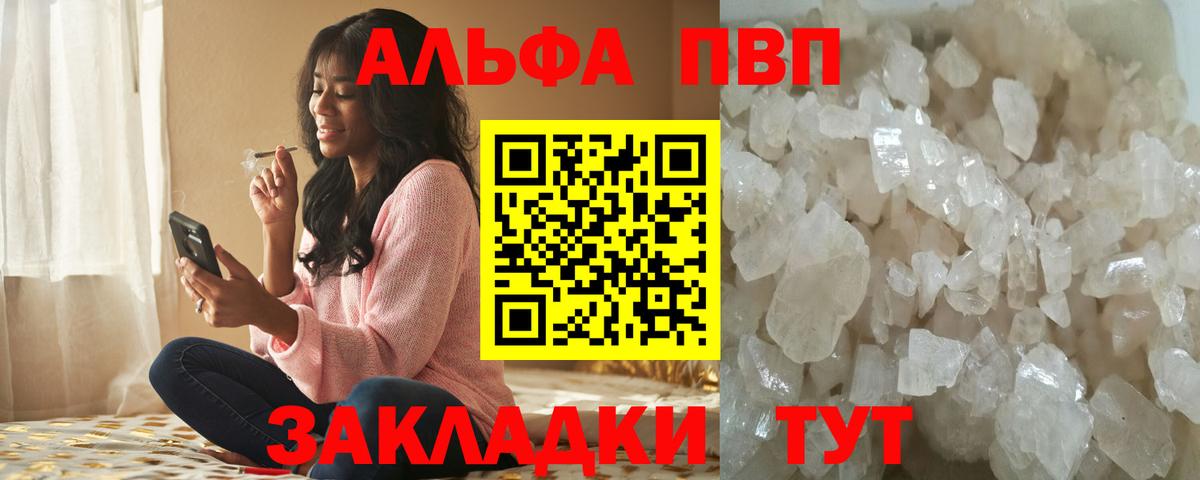 Alfa_PVP СК Гусев