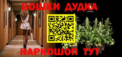 дживик Обь