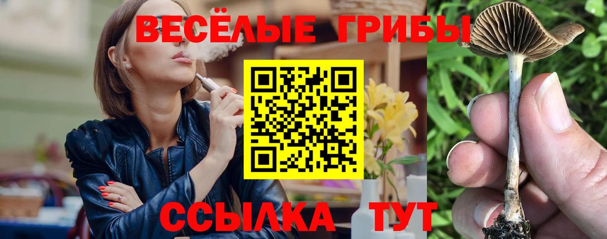Псилоцибиновые грибы ЛСД Гусев